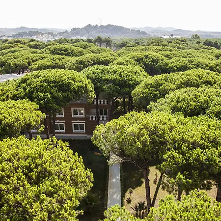 Prestige فندق غوليم